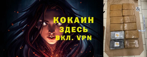 винт Горняк