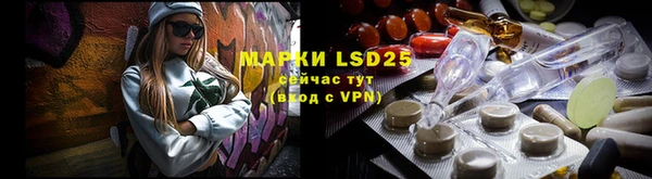 мяу мяу мука Горно-Алтайск