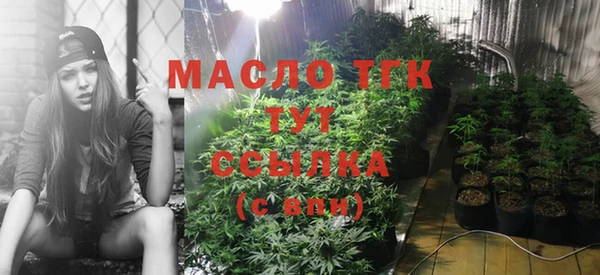 винт Горняк