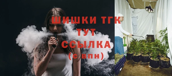 винт Горняк